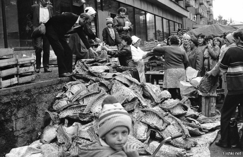 Смотрю на фотки, ну ни малейшего желания вернуться туда..