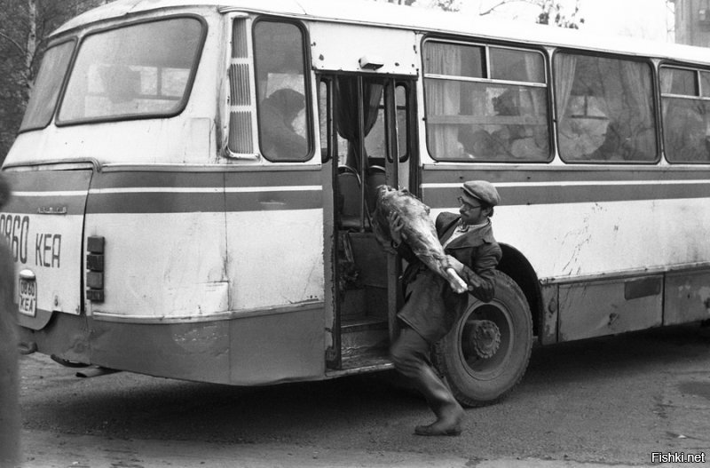 Смотрю на фотки, ну ни малейшего желания вернуться туда..