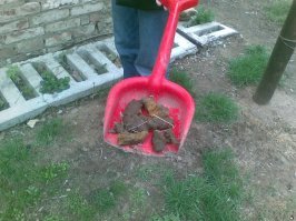 Можем вернуть только это.