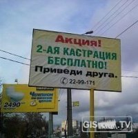 Прикольные и смешные картинки