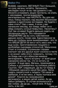 Веганы устроили митинг памяти в честь погибших рождественских индеек