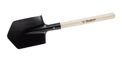 Делением размножаются червяки