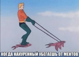 25 забавных мемов про Джейсона Момоа