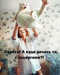 Прикольные и смешные картинки