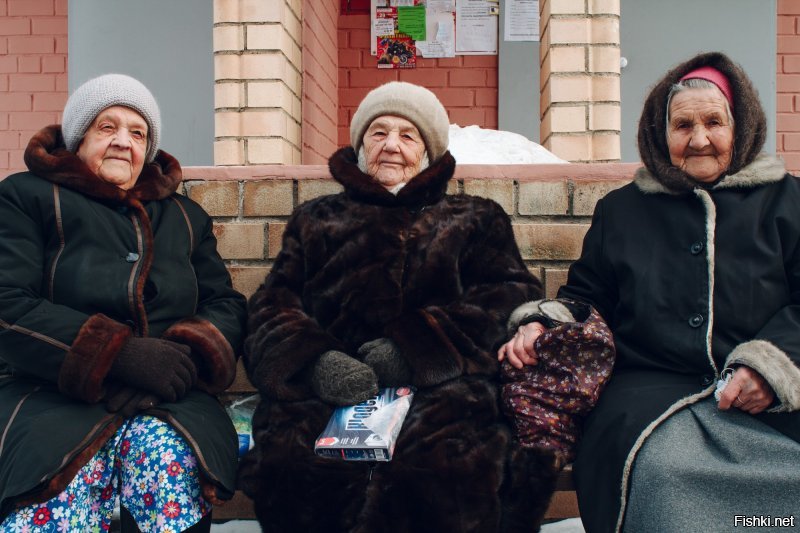 С лева направо: воробышек, магистр пицы, надёжный.