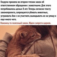 Зачем запрещать цирки? достаточно запретить там номера с дикими животными - гимнасты то с жонглерами чем не угодили? не говоря уже о том что собаки типа пуделей и дома то через голову прыгают чтобы хозяину угодить.