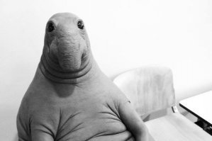 Три года, три долбаных года.