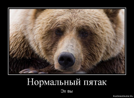 Адская свинья: фигуру страшной хрюши установили к Новому году в Самаре