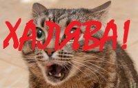 Почему в России было принято сажать за стол незнакомцев?