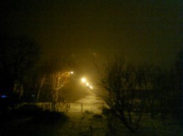 Ну, ну... Прям вот щас я стану наблюдать офигенное полнолуние и Альдебаран. Дождик метеоритный  хоть и днём обещали, но судя по погоде, у нас будет не метеоритный, а снегодождь.Качество фото отвратное, но из дома выходить лень и холодно, через окно сфотала улицу. Альдебаран прям глаз режет...