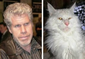 Иногда питомцы бывают выразительнее своих хозяев...