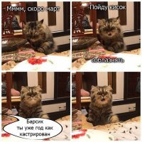Кот необычным образом решил спрятаться от ветеринара