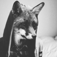 8. Новогоднее настроение 
 
...
Лисица вам ...
в ваш "антресоль"