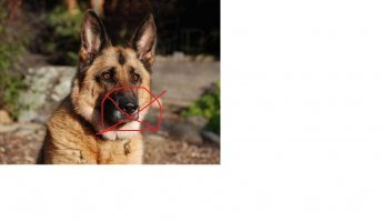 на 70 кг кокса в дипкоридоре  - насморк у сабакенов   
"Гондурас в огне" (c)