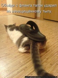 Намешалось