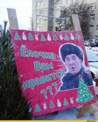 20+ сумасшедших фото, на которых все готово к Новому году
