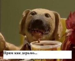 К Земле приближается «праздничный» астероид