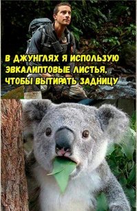 Картинки с надписями