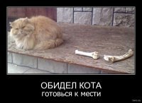 Намешалось