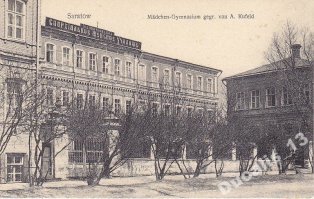 Дореволюционные гимназии Саратова.