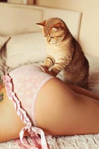 Коты на женских жопах вызывают восхищение, а на мужских смех.