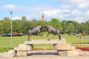 Брянский водитель не захотел разворачиваться и устроил разборки на глазах у своей маленькой дочери