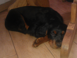 Это мой. Сейчас, и пять лет назад.