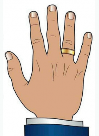 подкольцовник