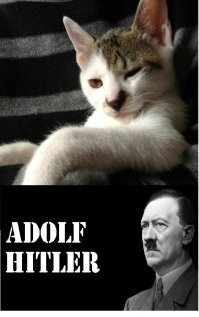 А где жирные коты в аниме? и да, вот так правильнее