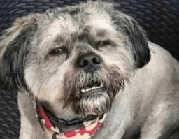 30 забавных мемов, посвященных работе и коллегам