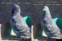 Прикольные и смешные картинки