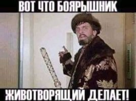 Когда уже черепаха превратится в обезьяну, а затем в человека? Прямой эфир на Fishki.net