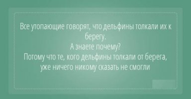 Пестрый мир дельфинов