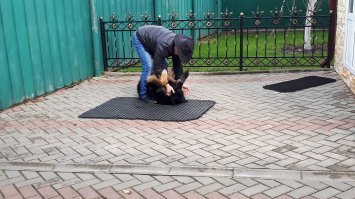 твоя биография никому не интересна!
а я вот он :)
А вот песик Майкуша (маленькая кавказкая овчарка, которая очень любит кататься на машине ВОВЫ (я ей для этого и нужен :))) :)