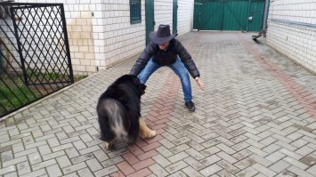 твоя биография никому не интересна!
а я вот он :)
А вот песик Майкуша (маленькая кавказкая овчарка, которая очень любит кататься на машине ВОВЫ (я ей для этого и нужен :))) :)