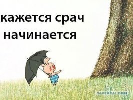 «Мы для них мусор под ногами»