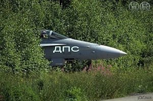 Стэлсинг