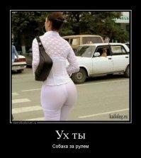 Подборка автомобильных приколов