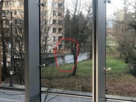 Симметрии отражения нет. Всё.