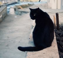 Просто хорошие и добрые новости из России за неделю