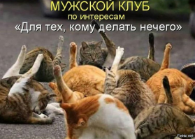 Намешалось