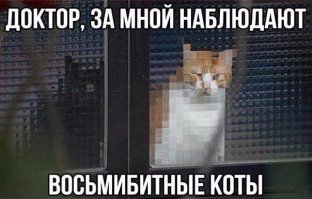 обычный восьмибитный кот...