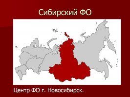 Прикольные и смешные картинки