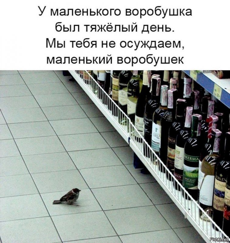 Наши не пойдут за ёлкой-с перцовым баллончиком.