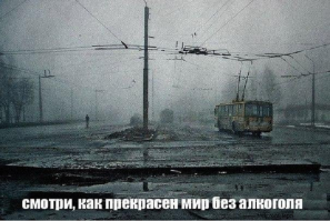 Прикольные и смешные картинки