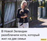Это совесть....