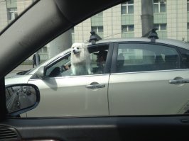 Я подобное в Москве видел ....