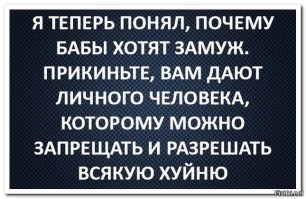 Прикольные и смешные картинки