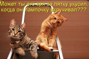 Эй человек зырь как,я умею