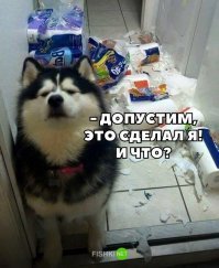Картинки с надписями для настроения